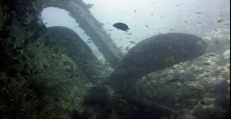 Advanced Open Water Diver