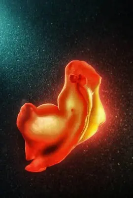 Spanish dancer