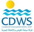 CDWS