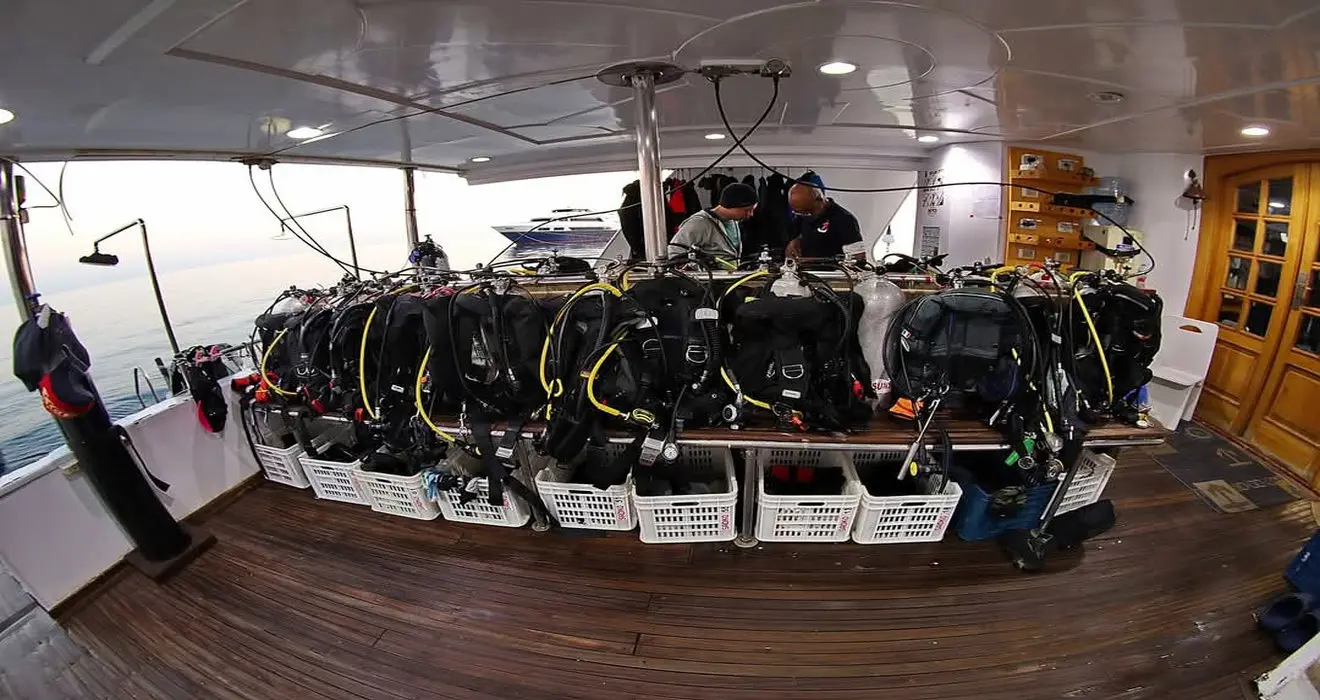 Divedeck